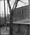 East Poplar Playground