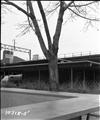 East Poplar Playground