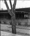 East Poplar Playground