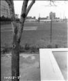 East Poplar Playground