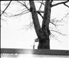 East Poplar Playground