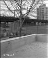East Poplar Playground